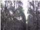 . Bridport Road, Pipers River TAS 7252