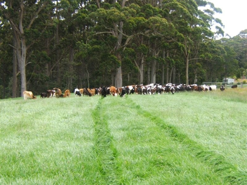 100 Williams Road, Scopus TAS 7330