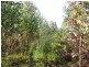 243HA Musk Vale Road, George Town TAS 7253