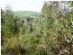 243HA Musk Vale Road, George Town TAS 7253