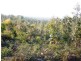 243HA Musk Vale Road, George Town TAS 7253