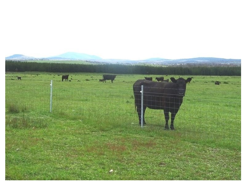 . Waterhouse Road, Boobyalla TAS 7264