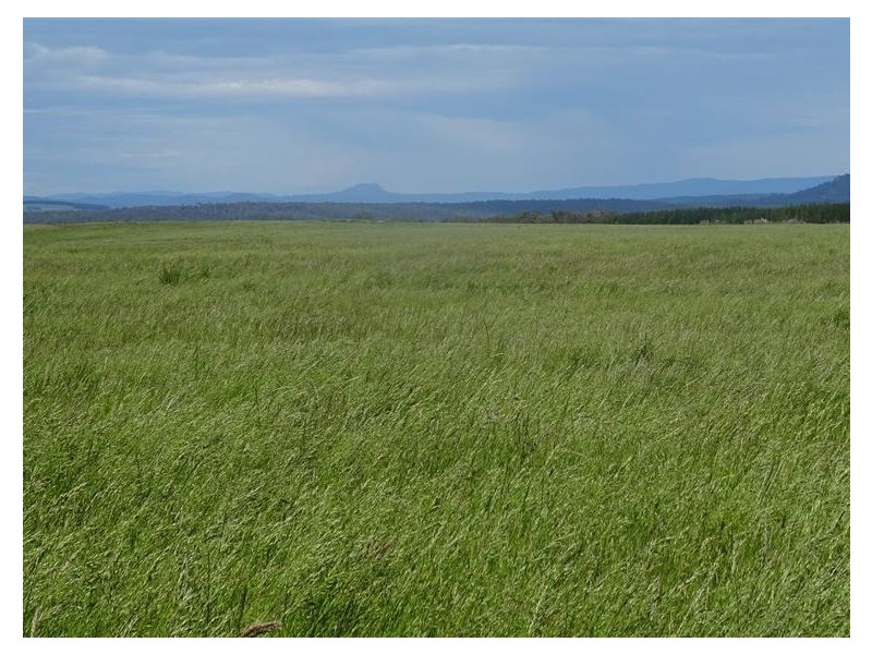 . Waterhouse Road, Boobyalla TAS 7264