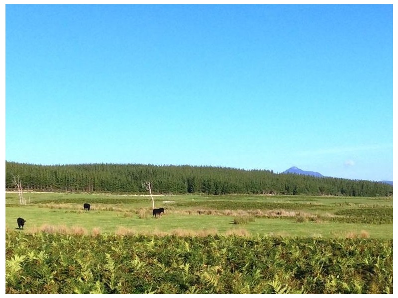 . Waterhouse Road, Boobyalla TAS 7264