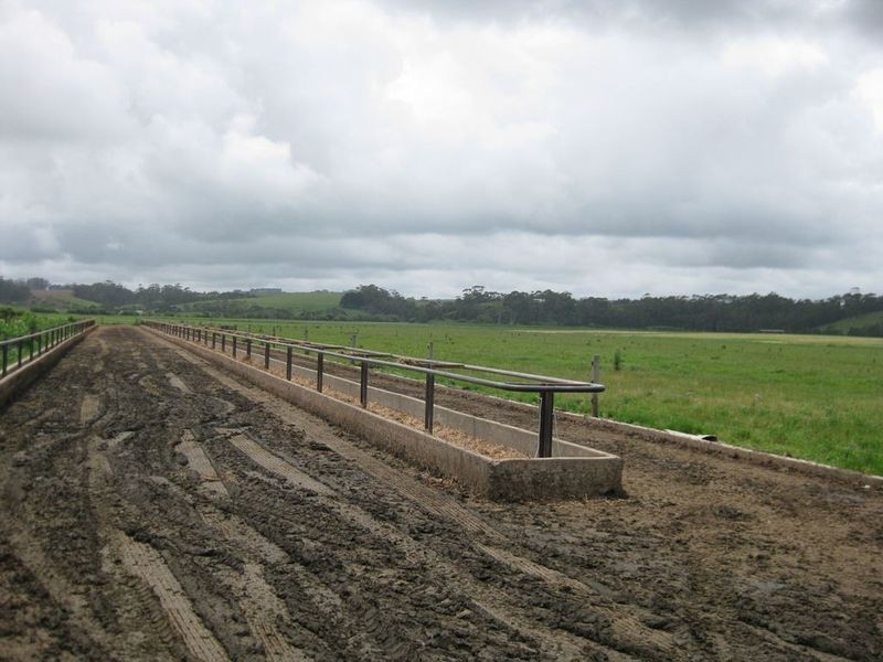 156 Champions Road, Scotchtown TAS 7330