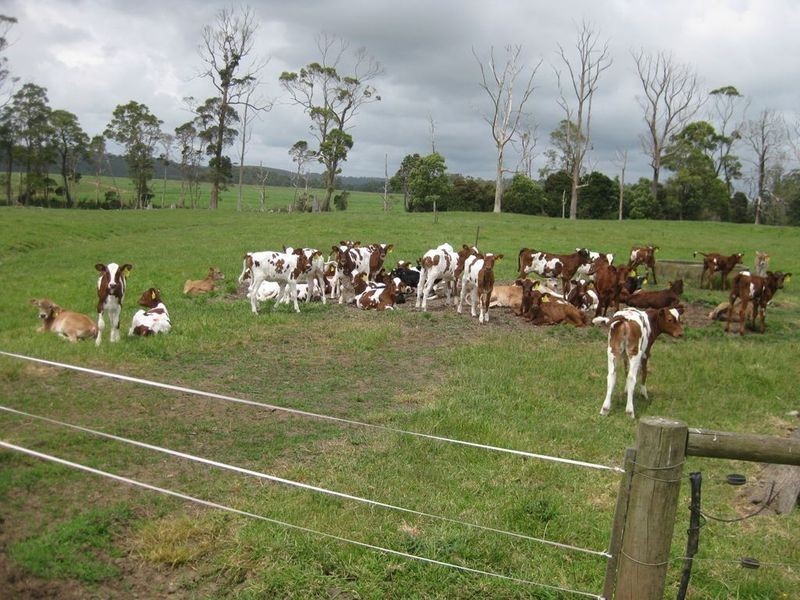 156 Champions Road, Scotchtown TAS 7330