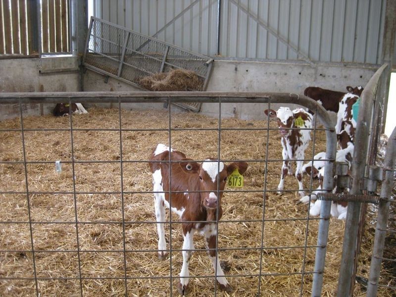 156 Champions Road, Scotchtown TAS 7330