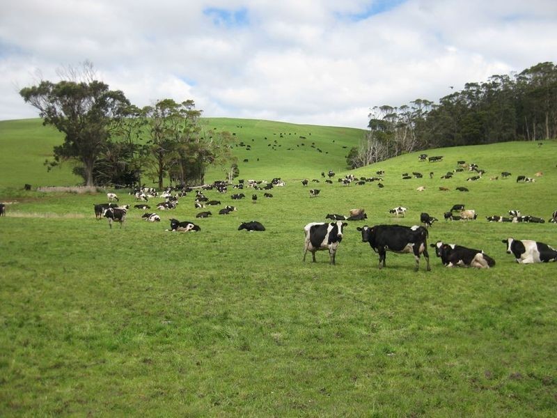 409 Comeback Road, Marrawah TAS 7330