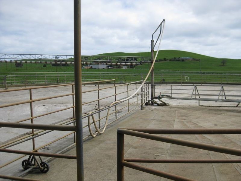 409 Comeback Road, Marrawah TAS 7330