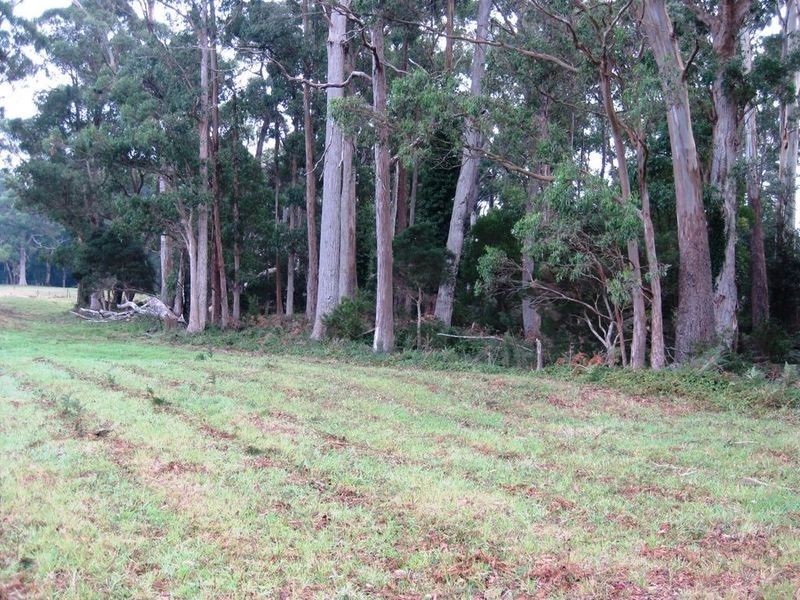 19393 Bass Highway, Rocky Cape TAS 7321