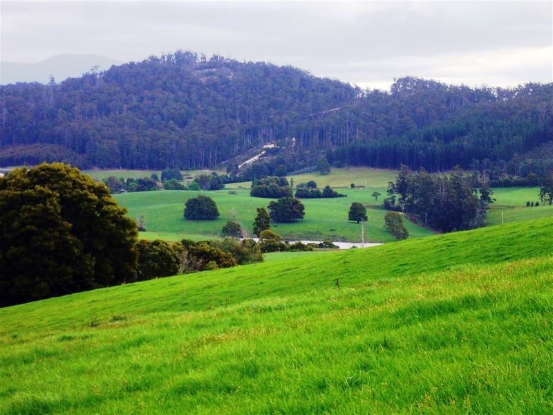 33842 Tasman Highway, Tulendeena TAS 7260