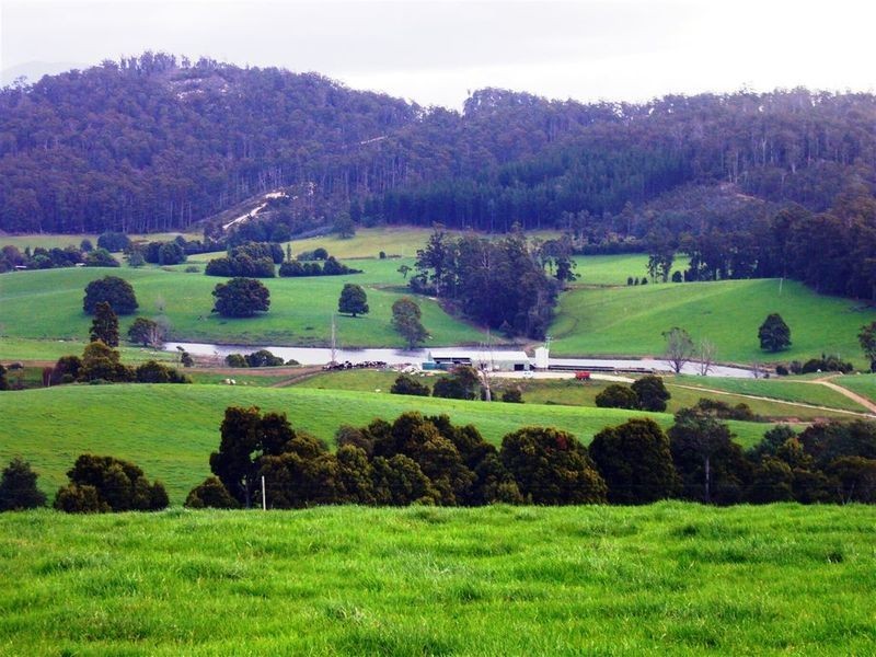 33842 Tasman Highway, Tulendeena TAS 7260