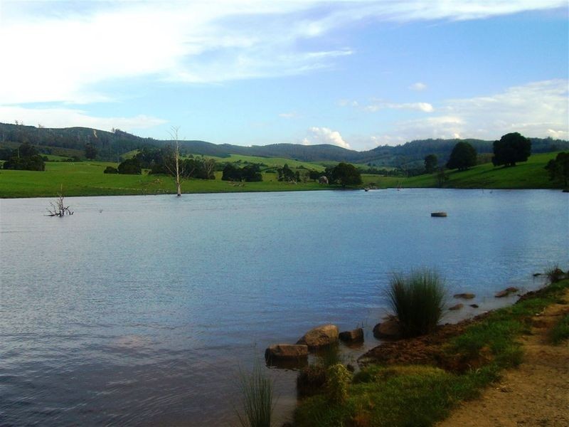 33842 Tasman Highway, Tulendeena TAS 7260