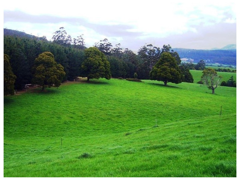 33842 Tasman Highway, Tulendeena TAS 7260
