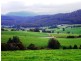 33842 Tasman Highway, Tulendeena TAS 7260