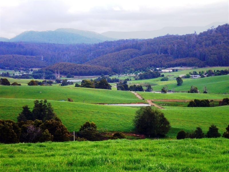 33842 Tasman Highway, Tulendeena TAS 7260