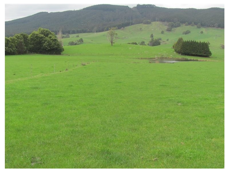 33842 Tasman Highway, Tulendeena TAS 7260