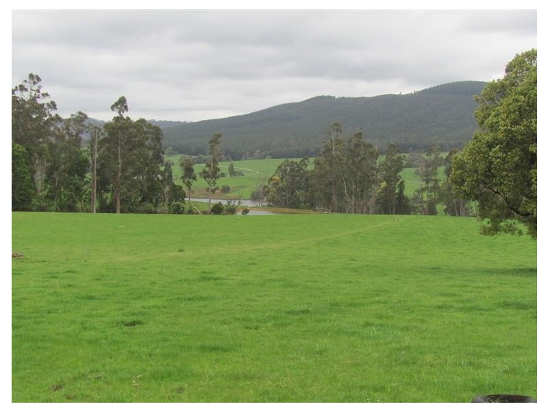 33842 Tasman Highway, Tulendeena TAS 7260