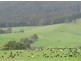 33842 Tasman Highway, Tulendeena TAS 7260