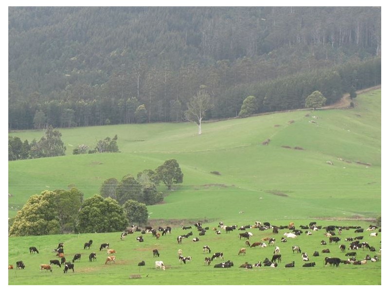 33842 Tasman Highway, Tulendeena TAS 7260