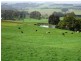 1161. Mount Hicks Road, Mount Hicks TAS 7325