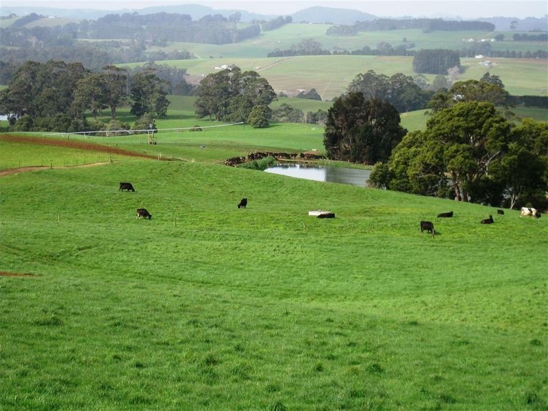1161. Mount Hicks Road, Mount Hicks TAS 7325