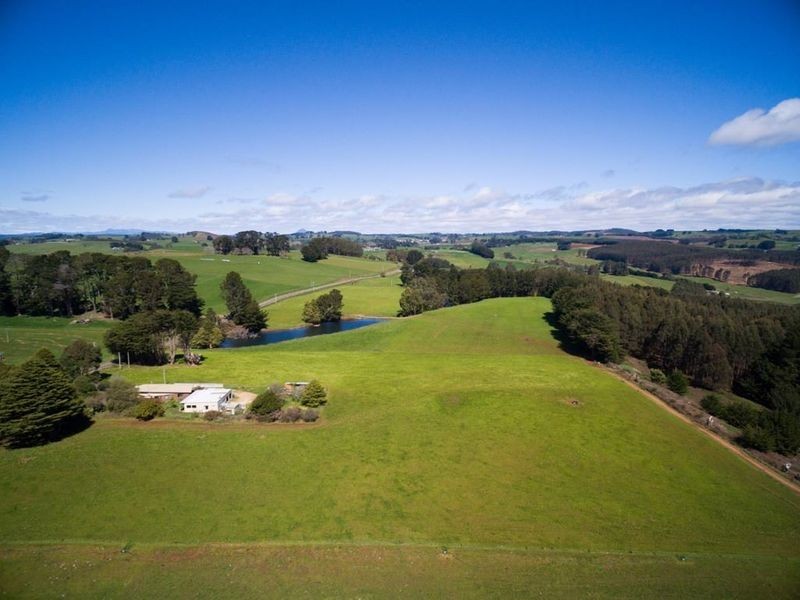 1161. Mount Hicks Road, Mount Hicks TAS 7325