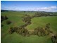 1161. Mount Hicks Road, Mount Hicks TAS 7325