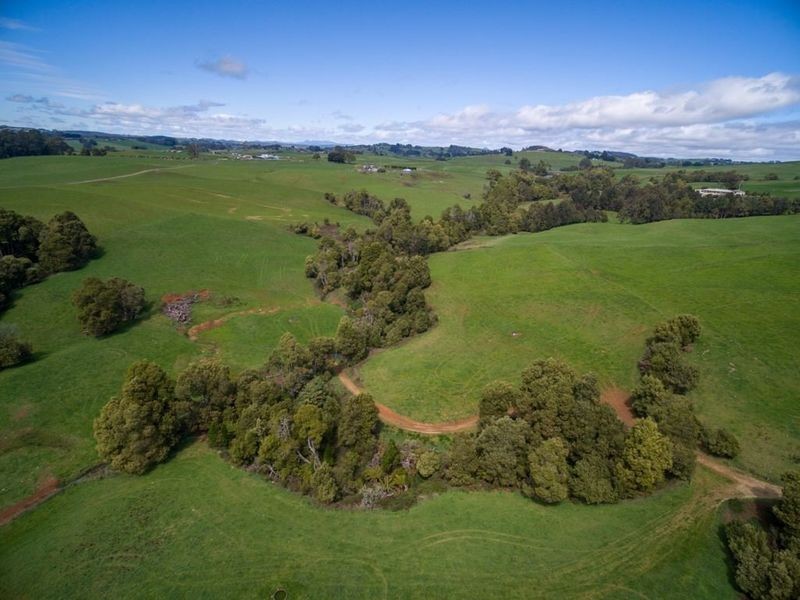 1161. Mount Hicks Road, Mount Hicks TAS 7325