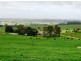 1161. Mount Hicks Road, Mount Hicks TAS 7325