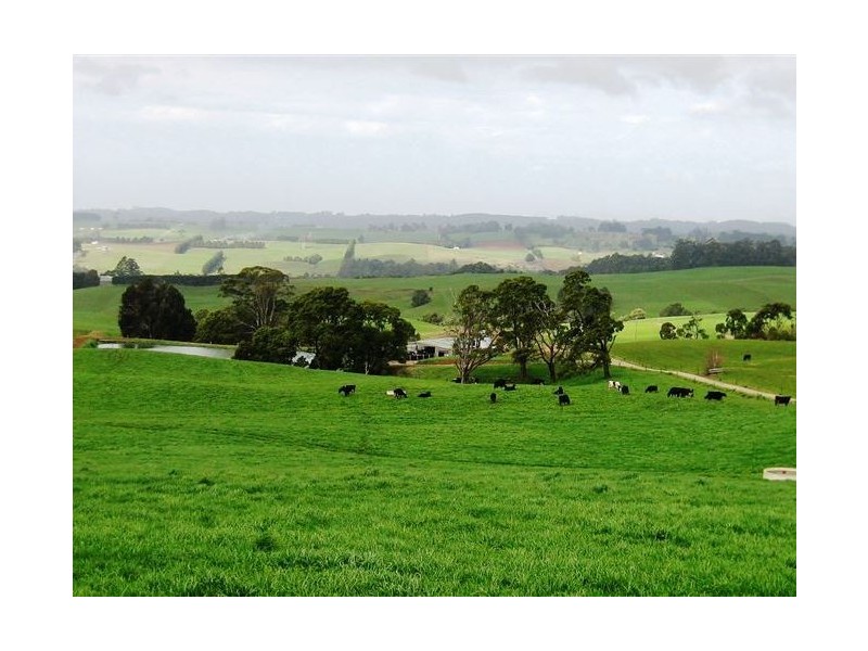 1161. Mount Hicks Road, Mount Hicks TAS 7325