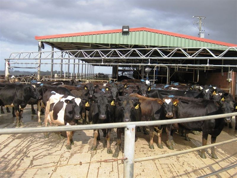 1161. Mount Hicks Road, Mount Hicks TAS 7325