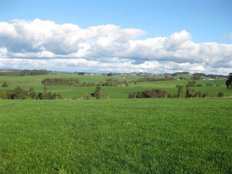 1161. Mount Hicks Road, Mount Hicks TAS 7325