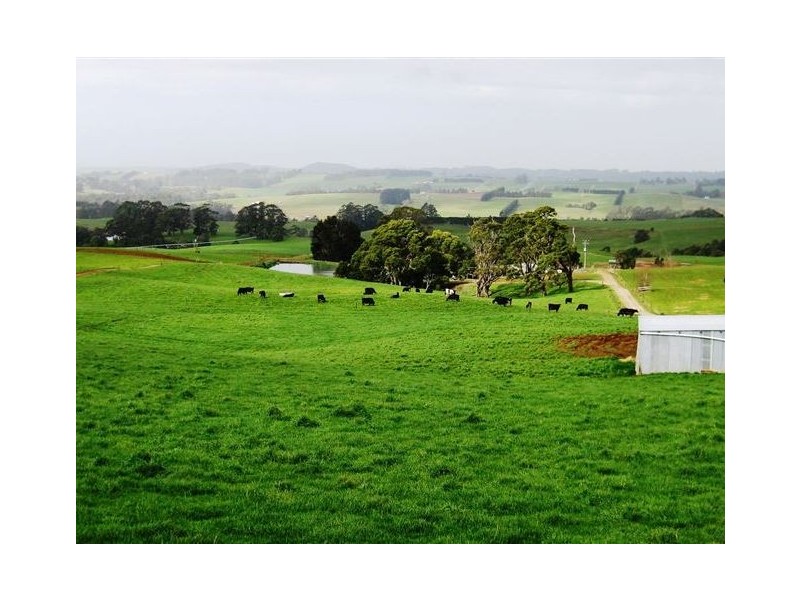 1161. Mount Hicks Road, Mount Hicks TAS 7325