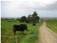 1161. Mount Hicks Road, Mount Hicks TAS 7325