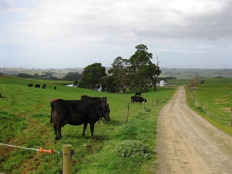 1161. Mount Hicks Road, Mount Hicks TAS 7325