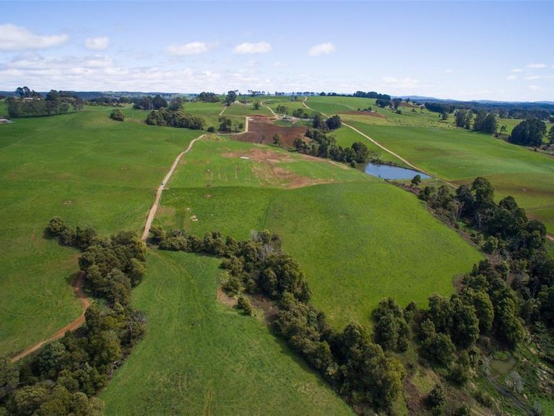 1161. Mount Hicks Road, Mount Hicks TAS 7325