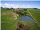 1161. Mount Hicks Road, Mount Hicks TAS 7325