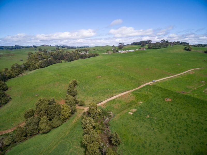 1161. Mount Hicks Road, Mount Hicks TAS 7325
