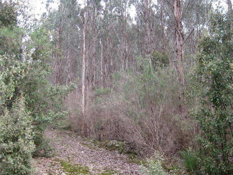 . Meryanna Road, Trowutta TAS 7330