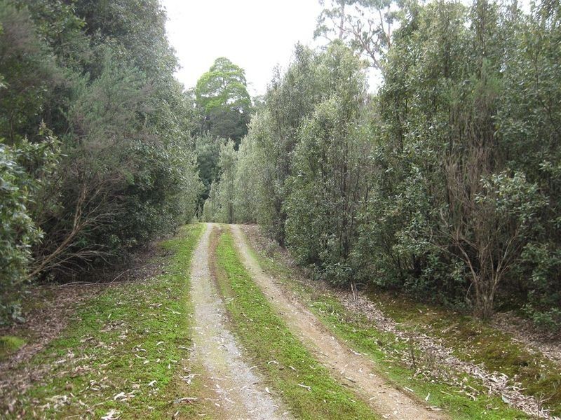 . Meryanna Road, Trowutta TAS 7330