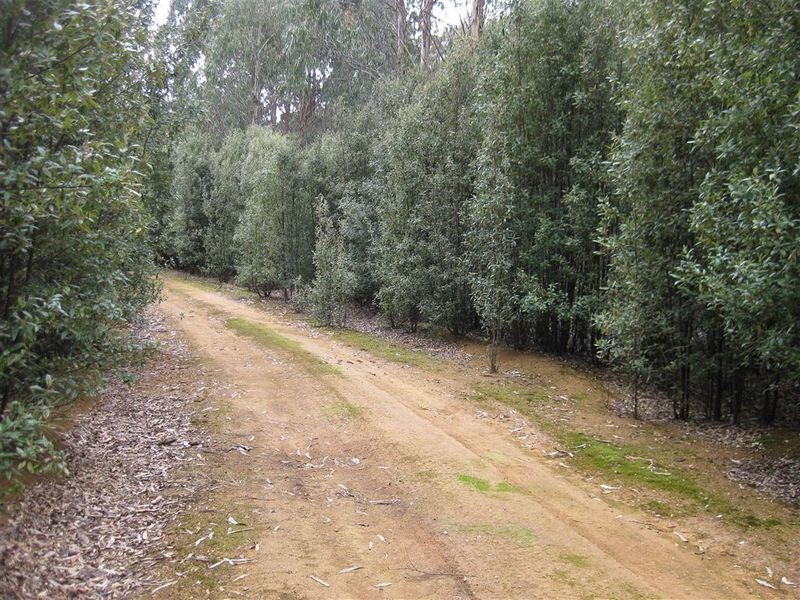 . Meryanna Road, Trowutta TAS 7330