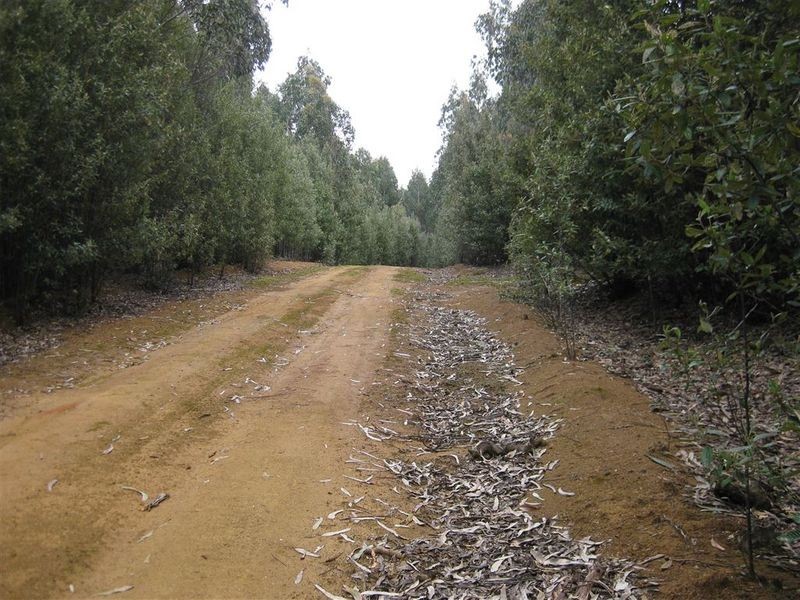 . Meryanna Road, Trowutta TAS 7330