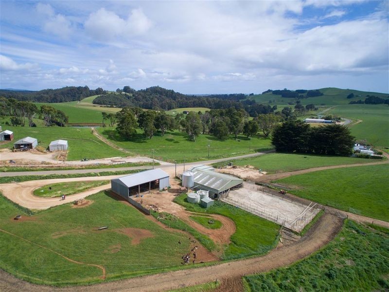 913 Mount Hicks Road, Mount Hicks TAS 7325