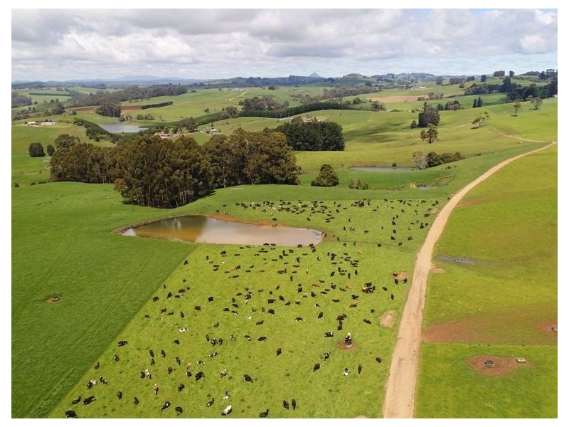 913 Mount Hicks Road, Mount Hicks TAS 7325