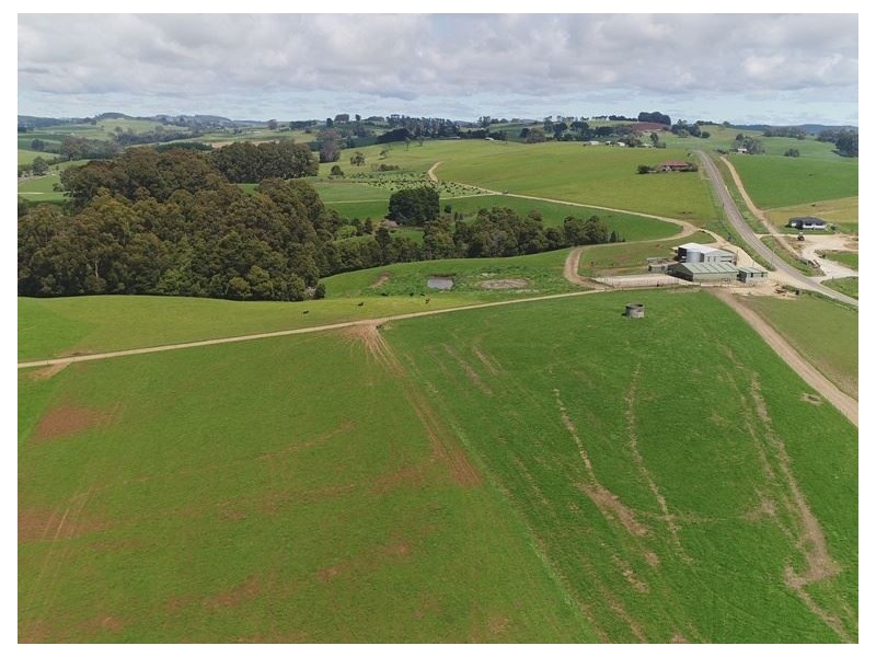 913 Mount Hicks Road, Mount Hicks TAS 7325