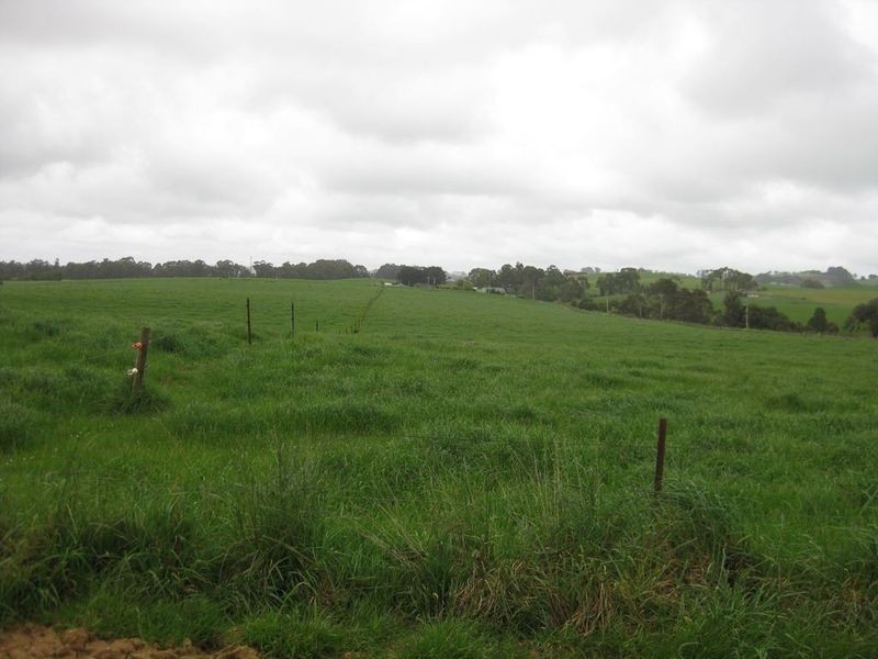 913 Mount Hicks Road, Mount Hicks TAS 7325