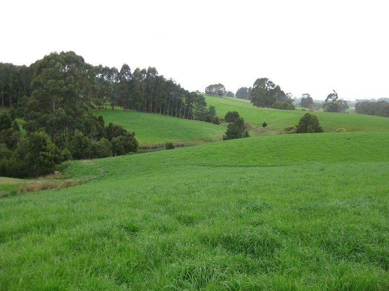 913 Mount Hicks Road, Mount Hicks TAS 7325