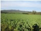 . Montumana Road, Montumana TAS 7321
