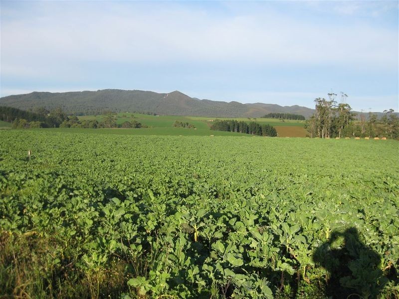 . Montumana Road, Montumana TAS 7321